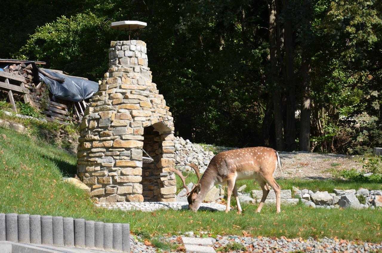 Lesna Polana- Blisko Centrum, Mini Spa, Cicha, Spokojna Okolica, Parking Gratis Resort Krynica-Zdrój